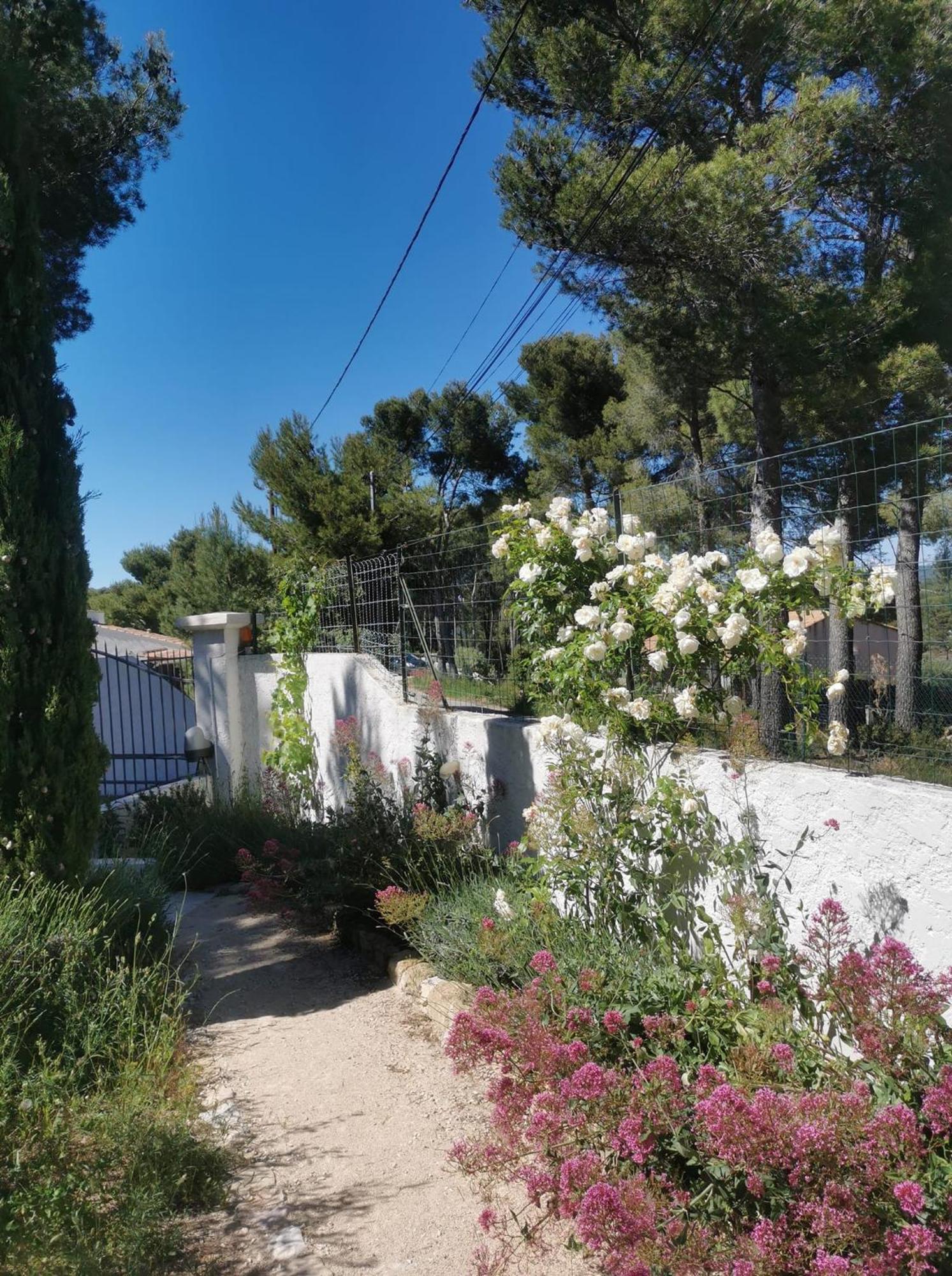 Le Mas Des Roches A Velaux Εξωτερικό φωτογραφία
